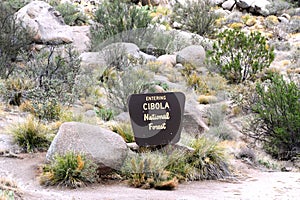 Cibola National Forest at Base of Sandias photo