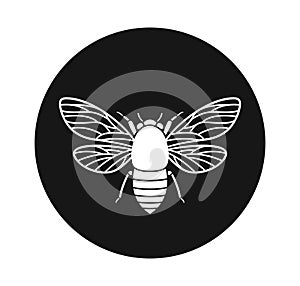 Cicada logo. Isolated cicada on white background