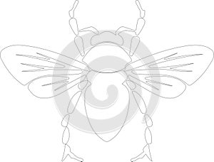 cicada Outline Silhouette Generative Ai