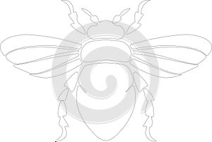 cicada Outline Silhouette Generative Ai