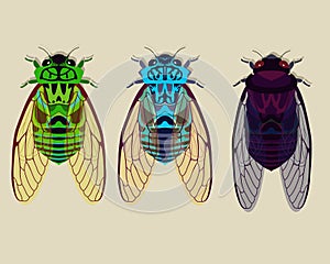 Cicadas collection part 1 photo