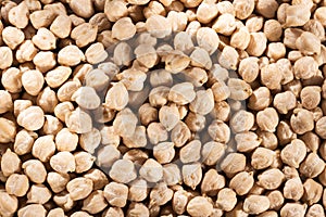 Cicer arietinum - Organic Dried Raw Chickpeas