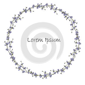 Cichorium round frame, Lorem Ipsum. Blue flowers, green leaves on white stock vector illustration