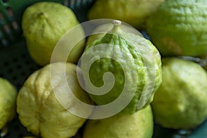 Cider or cidra in portuguese is a citrus fruit photo