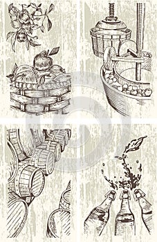 Cider Hand-drawn set. Cidermaking process illustrations in engraved style photo