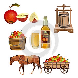 Cider set vector