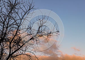 Cielo di mattina photo