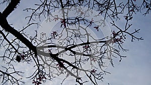 Cielo Sky Cloud Nube Sol Sun