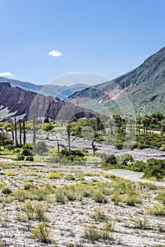 Cienaga, Quebrada de Humahuaca, Jujuy, Argentina