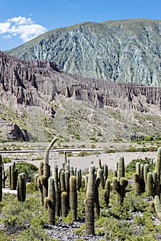 Cienaga, Quebrada de Humahuaca, Jujuy, Argentina.