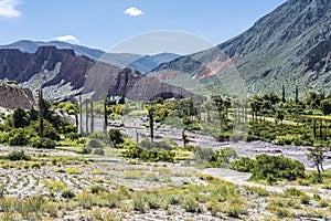 Cienaga, Quebrada de Humahuaca, Jujuy, Argentina.