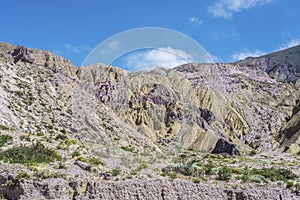 Cienaga, Quebrada de Humahuaca, Jujuy, Argentina.