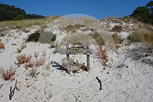 Cies Islands, Vigo, Spain.