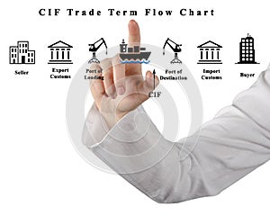 CIF Trade Term