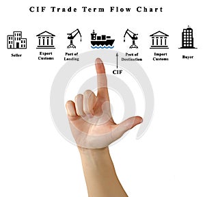 CIF Trade Term Flow Chart