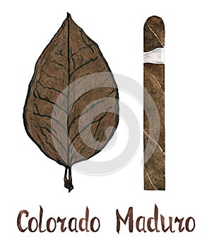 Cigar Colorado maduro wrapper leaf color type photo