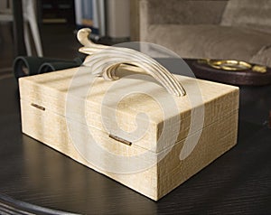 Cigar humidor