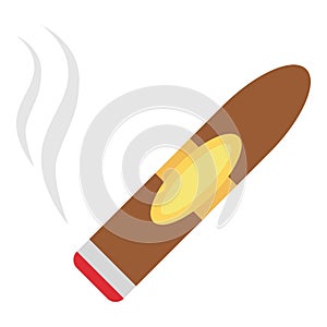 Cigar icon, flat style