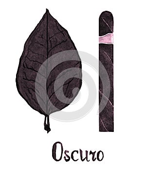 Cigar oscuro wrapper leaf color type photo