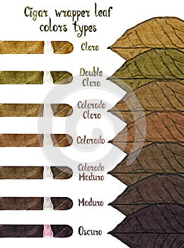 Cigar wrapper leaf colors types: Claro, Double Claro, Colorado Claro, Colorado, Colorado Maduro, Maduro and Oscuro