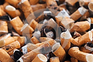 Cigarette butts