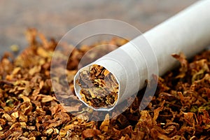 Cigarette / Tobacco