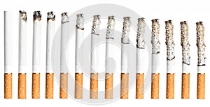 Cigarettes During Different Stages of Burn.