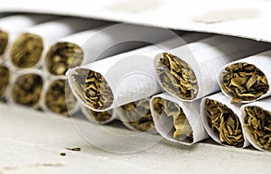 Cigarettes without filter