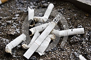 Cigarettes on sand with a snow
