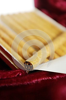 Cigarillo Close-up
