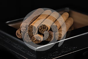 Cigars above a humidor