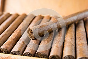 Cigars box