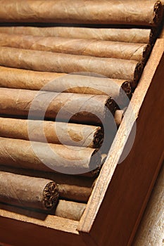 Cigars box