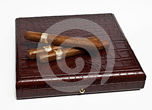 Cigars on the case photo