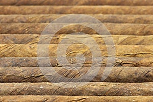 Cigars photo