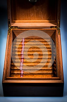 Cigars in humidor