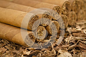 Cigars on Tobacco