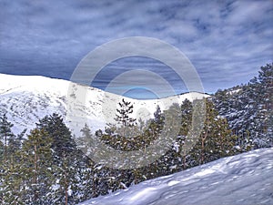 Cigota mountain Zlatibor photo