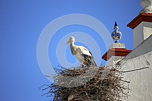 CigueÃ±a in its nest formed in a tower