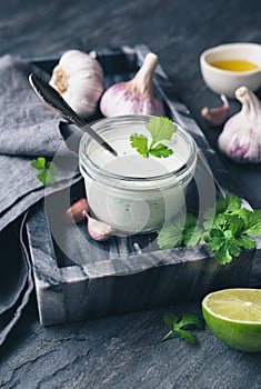 Cilantro garlic sauce with lime juice and olive oil