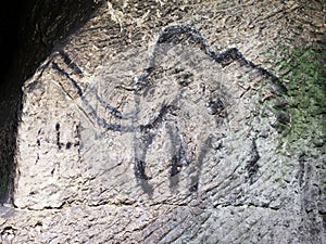 Cildren art in sandstone cave. Black carbon mammoth paint