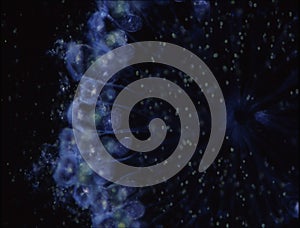 Ciliates and amoebas in drops of water