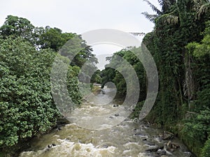 Ciliwung river in Bogor.