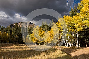 Cimarrona Campground is north of Pagosa Springs Colorado, with the Weminuche Wilderness nearby.