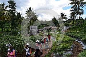 Cimory on the Valley