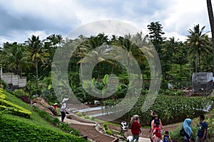 Cimory on the Valley