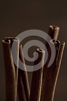 Cinamon sticks