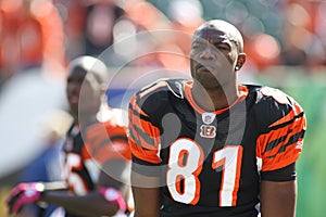 Terrell Owens