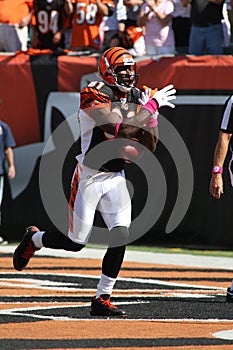 Terrell Owens Scores a Touchdown