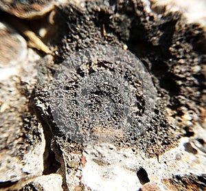 Cinder block at high magnification